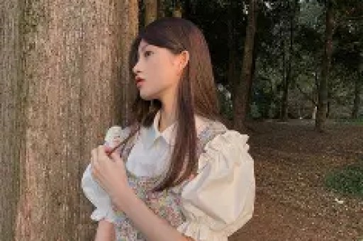 明星见义勇为彰显社会担当